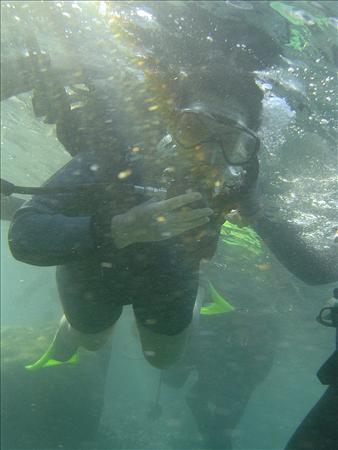 The Red Sea 013.jpg